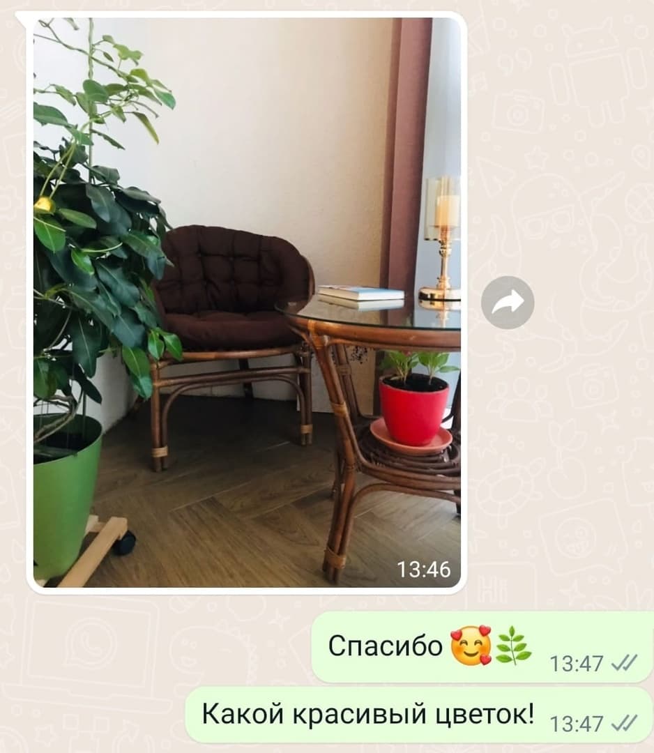 Фото отзыва 34
